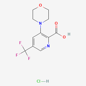 3-Morpholino-5-(trifluoromethyl)pyridine-2-carboxylic acid hydrochloride