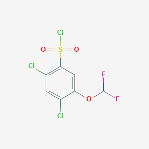 2,4-Dichloro-5-(difluoromethoxy)benzenesulfonyl chloride