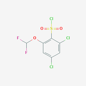 2,4-Dichloro-6-(difluoromethoxy)benzenesulfonyl chloride