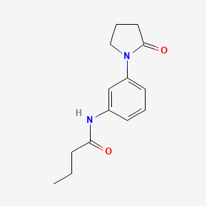 molecular formula C14H18N2O2 B14112291 N-[3-(2-oxopyrrolidin-1-yl)phenyl]butanamide 