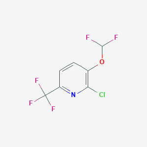molecular formula C7H3ClF5NO B1412078 2-Chloro-3-(difluoromethoxy)-6-(trifluoromethyl)pyridine CAS No. 1228897-80-0