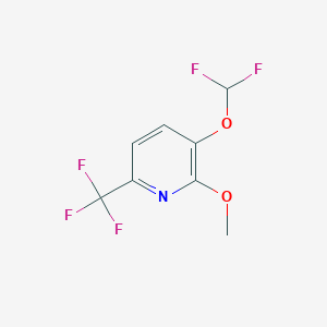 molecular formula C8H6F5NO2 B1412079 3-Difluoromethoxy-2-methoxy-6-(trifluoromethyl)pyridine CAS No. 1227605-22-2