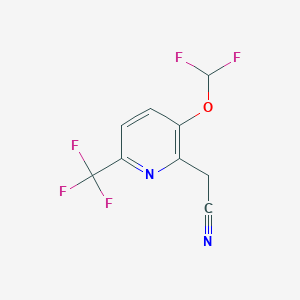 molecular formula C9H5F5N2O B1412088 3-二氟甲氧基-6-(三氟甲基)吡啶-2-乙腈 CAS No. 1227583-25-6