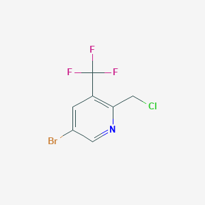 molecular formula C7H4BrClF3N B1412092 5-Bromo-2-(chloromethyl)-3-(trifluoromethyl)pyridine CAS No. 1227516-61-1