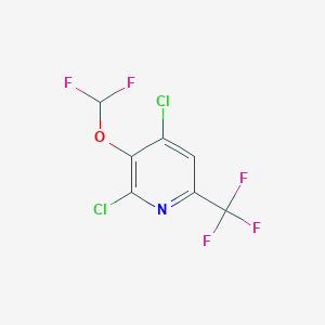 molecular formula C7H2Cl2F5NO B1412097 2,4-Dichloro-3-difluoromethoxy-6-(trifluoromethyl)pyridine CAS No. 1228897-92-4