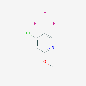 molecular formula C7H5ClF3NO B1412116 4-Chloro-2-methoxy-5-(trifluoromethyl)pyridine CAS No. 1227594-11-7