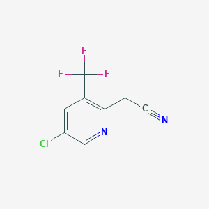 molecular formula C8H4ClF3N2 B1412138 5-氯-3-(三氟甲基)吡啶-2-乙腈 CAS No. 1227570-83-3