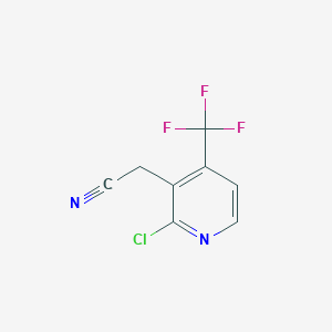 molecular formula C8H4ClF3N2 B1412169 2-Chloro-4-(trifluoromethyl)pyridine-3-acetonitrile CAS No. 1227563-43-0