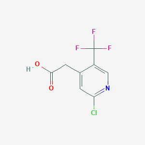 B1412183 2-Chloro-5-(trifluoromethyl)pyridine-4-acetic acid CAS No. 1227578-04-2