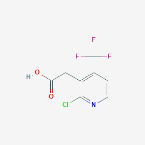 molecular formula C8H5ClF3NO2 B1412210 2-Chloro-4-(trifluoromethyl)pyridine-3-acetic acid CAS No. 1227563-17-8
