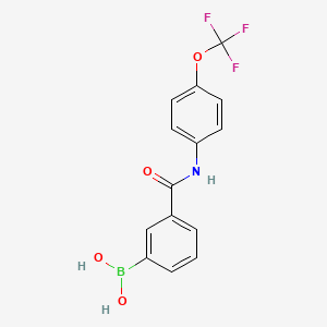 molecular formula C14H11BF3NO4 B1412242 （3-((4-(三氟甲氧基)苯基)氨基甲酰基)苯基)硼酸 CAS No. 1704069-22-6