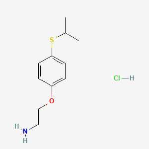 molecular formula C11H18ClNOS B1412598 2-(4-Isopropylsulfanylphenoxy)ethylamine hydrochloride CAS No. 2205415-35-4