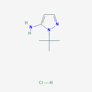 molecular formula C7H14ClN3 B1412692 1-tert-butyl-1H-pyrazol-5-amine hydrochloride CAS No. 2031259-20-6