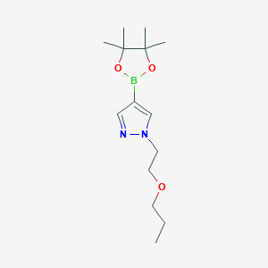 1-(2-Propoxyethyl)-4-(4,4,5,5-tetramethyl-[1,3,2]dioxaborolan-2-yl)-1H-pyrazole