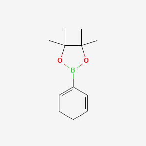 molecular formula C12H19BO2 B14128545 2-cyclohexa-1,5-dien-1-yl-4,4,5,5-tetramethyl-1,3,2-dioxaborolane CAS No. 448211-42-5