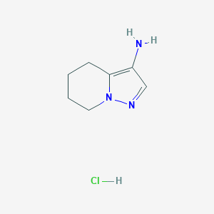molecular formula C7H12ClN3 B1412876 4H,5H,6H,7H-pyrazolo[1,5-a]pyridin-3-amine hydrochloride CAS No. 2059988-79-1