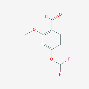 molecular formula C9H8F2O3 B1412904 4-Difluoromethoxy-2-methoxybenzaldehyde CAS No. 1806276-62-9