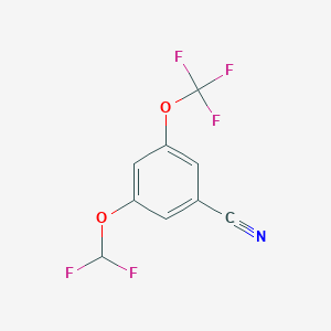 molecular formula C9H4F5NO2 B1412938 3-Difluoromethoxy-5-(trifluoromethoxy)benzonitrile CAS No. 1806320-27-3