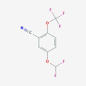 molecular formula C9H4F5NO2 B1412941 5-Difluoromethoxy-2-(trifluoromethoxy)benzonitrile CAS No. 1803734-74-8