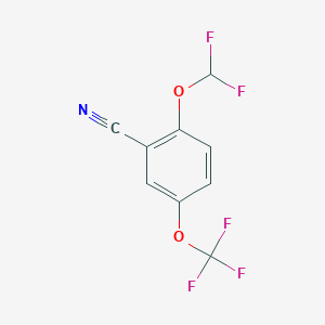 molecular formula C9H4F5NO2 B1412967 2-Difluoromethoxy-5-(trifluoromethoxy)benzonitrile CAS No. 1803792-09-7