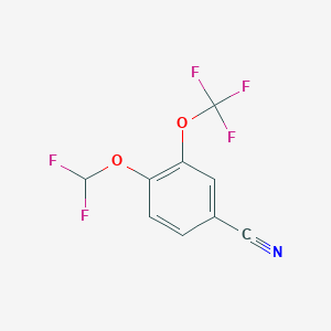 molecular formula C9H4F5NO2 B1412972 4-Difluoromethoxy-3-(trifluoromethoxy)benzonitrile CAS No. 1804416-52-1