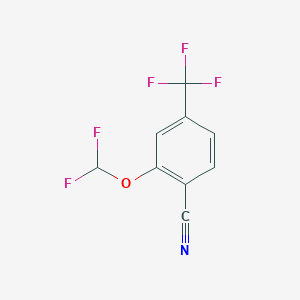molecular formula C9H4F5NO B1412973 2-Difluoromethoxy-4-(trifluoromethyl)benzonitrile CAS No. 1803850-79-4