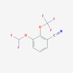 molecular formula C9H4F5NO2 B1413030 3-Difluoromethoxy-2-(trifluoromethoxy)benzonitrile CAS No. 1804881-71-7