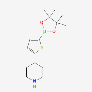 molecular formula C15H24BNO2S B14132499 4-(5-(4,4,5,5-Tetramethyl-1,3,2-dioxaborolan-2-yl)thiophen-2-yl)piperidine CAS No. 1402166-62-4