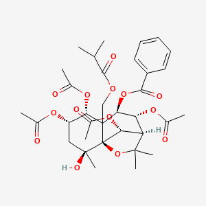 molecular formula C34H44O14 B14134504 Celangulin III CAS No. 144379-42-0