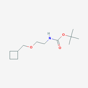 molecular formula C12H23NO3 B1413509 tert-butyl N-[2-(cyclobutylmethoxy)ethyl]carbamate CAS No. 1934544-30-5