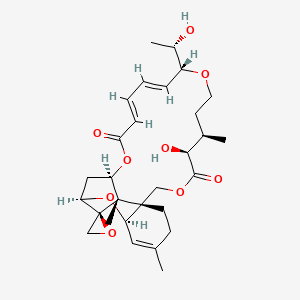 molecular formula C29H40O9 B14138350 Isororidin A CAS No. 84773-08-0