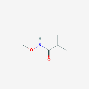 molecular formula C5H11NO2 B14138361 N-Methoxyisobutyramide 
