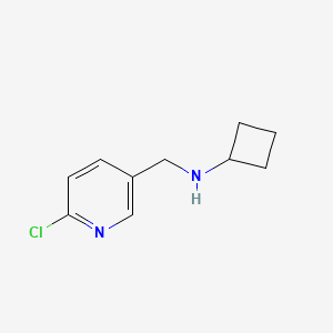 molecular formula C10H13ClN2 B1414101 N-[(6-chloropyridin-3-yl)methyl]cyclobutanamine CAS No. 1595284-44-8