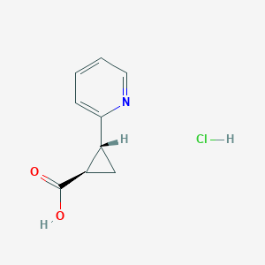 molecular formula C9H10ClNO2 B1414533 rel-(1R,2R)-2-(Pyridin-2-yl)cyclopropanecarboxylic acid hydrochloride CAS No. 2173999-45-4