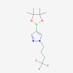 molecular formula C13H20BF3N2O2 B1414610 CC1(OB(OC1(C)C)C=1C=NN(C=1)Cccc(F)(F)F)C CAS No. 1940180-94-8