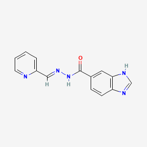 molecular formula C14H11N5O B14146751 N'-[(E)-pyridin-2-ylmethylidene]-1H-benzimidazole-5-carbohydrazide 