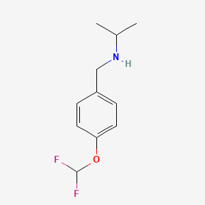 B1414718 {[4-(Difluoromethoxy)phenyl]methyl}(propan-2-yl)amine CAS No. 1019528-43-8