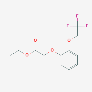 molecular formula C12H13F3O4 B14148910 Ethyl 2-(2,2,2-trifluoroethoxy)phenoxyacetate CAS No. 160969-01-7