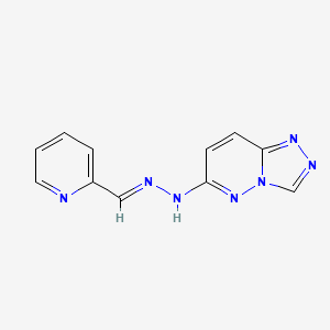 molecular formula C11H9N7 B14149682 6-[(2E)-2-(pyridin-2-ylmethylidene)hydrazinyl][1,2,4]triazolo[4,3-b]pyridazine 