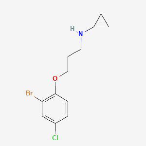N-(3-(2-bromo-4-chlorophenoxy)propyl)cyclopropanamine