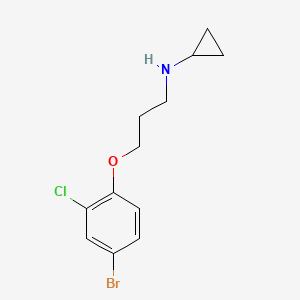 molecular formula C12H15BrClNO B1415045 N-(3-(4-bromo-2-chlorophenoxy)propyl)cyclopropanamine CAS No. 1038305-46-2