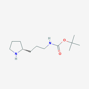 molecular formula C12H24N2O2 B1415094 (R)-(3-Pyrrolidin-2-yl-propyl)-carbamic acid tert-butyl ester CAS No. 1217838-01-1
