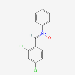 molecular formula C13H9Cl2NO B14152515 N-[(Z)-(2,4-dichlorophenyl)methylidene]-N-phenylamine oxide CAS No. 53548-18-8