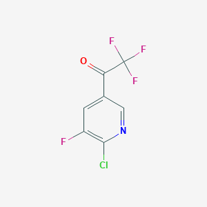 molecular formula C7H2ClF4NO B1415421 1-(6-Chloro-5-fluoropyridin-3-yl)-2,2,2-trifluoroethanone CAS No. 1245915-43-8
