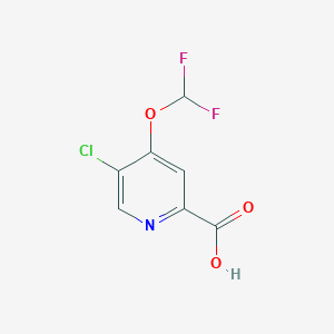 5-Chloro-4-(difluoromethoxy)picolinic acid