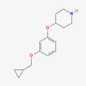 molecular formula C15H21NO2 B1415535 4-[3-(Cyclopropylmethoxy)phenoxy]piperidine CAS No. 1936450-06-4