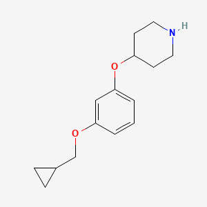 4-(3-Cyclopropylmethoxyphenoxy)-piperidine