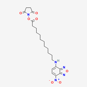 molecular formula C22H29N5O7 B1415737 NBD dodecanoic acid N-succinimidyl ester 