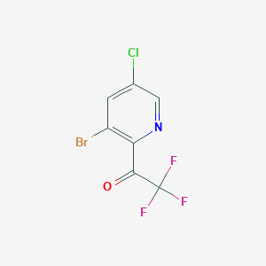 molecular formula C7H2BrClF3NO B1415795 1-(3-Bromo-5-chloropyridin-2-yl)-2,2,2-trifluoroethanone CAS No. 2231674-22-7