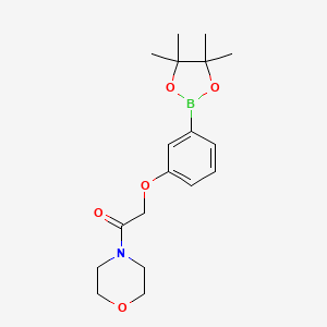 molecular formula C18H26BNO5 B1415838 1-Morpholino-2-(3-(4,4,5,5-tetramethyl-1,3,2-dioxaborolan-2-yl)phenoxy)ethan-1-one CAS No. 2057448-28-7